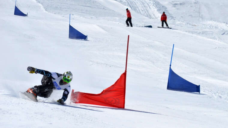 Πανελλήνιο Πρωτάθλημα Αλπικών Χιονοσανίδας