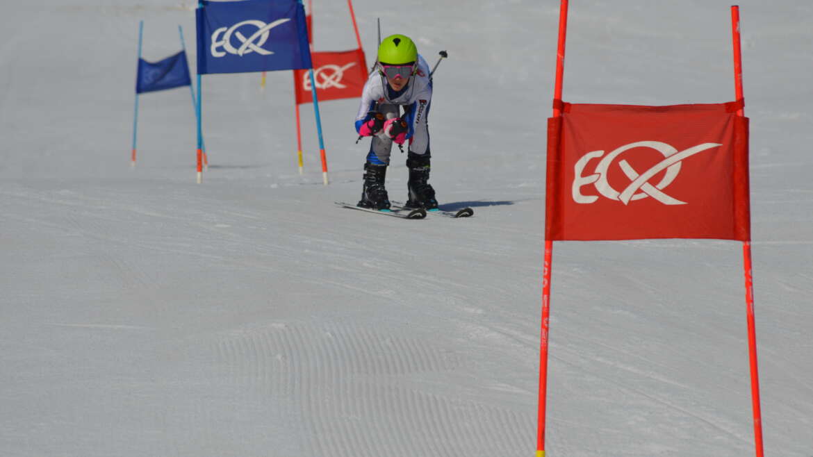 Περιφερειακός αγώνας Αλπικών