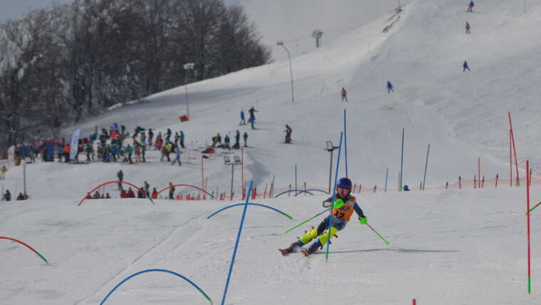 Το μέλλον των Αλπικών